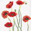 poppies_pottle