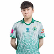 功夫胖牛