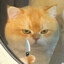 1111