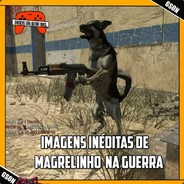 Magrelinho