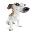 D@zlein's avatar