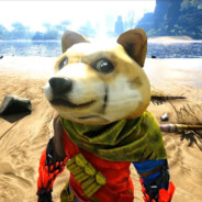 菜就多练 输不起别玩