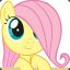 Fluttershy