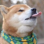 我之前很强的，是手冲害了我