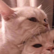 美丽可爱的仙女晨晨子