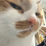 nmmommn