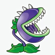 贪吃食人花国伟