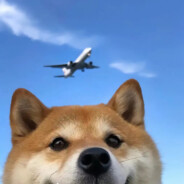 是你流的泪晕开