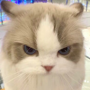 裸提也是一种美