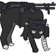 睦种植黄瓜砸死偷摸零