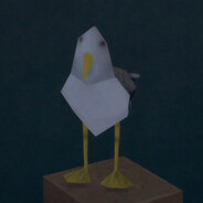 Måge