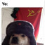 Perro COMUNISTA