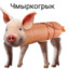 Саня Чекушка