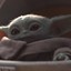 Baby Yoda