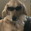 XavieR