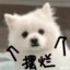 玖