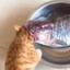 Meat Obelisk