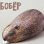 бобёрчик228
