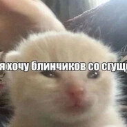 не лизал 3 дня