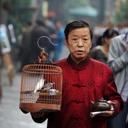 盖了帽儿了我的老Baby