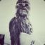 wookiee2602