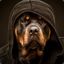 Rottweiler | D2SELECTOR.RU