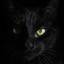 BlacK CaT^