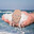 Sea Salt