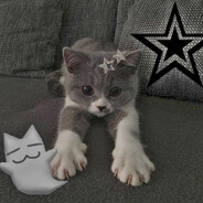 че за залупа's avatar