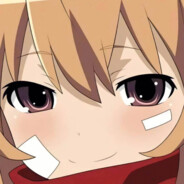 𝑻𝒂𝒊𝒈𝒂 𝑨𝒊