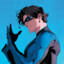 NightwingInDisguise