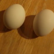 2 eggs, raw