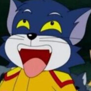 猫国贤王小气猫