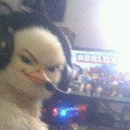 ♛◤ 𝘼𝙘𝙚𝙪 ◥♛