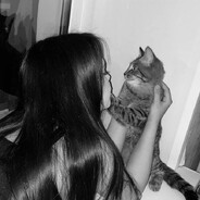 𝑭𝒓𝒆𝒔𝒏𝒆𝒍