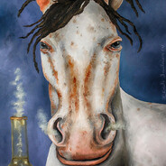 SOS DE BARBATI SKINS