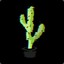 Cactii