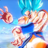 xXx Đani|PT| SaiyajiN xXx