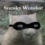 Sneaky Wombat