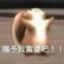 转让跳伞指挥去刷抖音喽