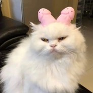 丑橘八块钱一斤嘎嘎甜