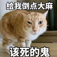 Котакбас по утру