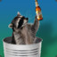 Raccoonbrew