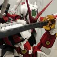 无人与我同望月