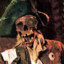 Oi Prazer-Willy Caolho o_-