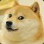 [Doge&#039;Style]