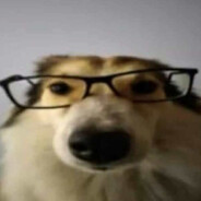 prodiuserisbbdjes avataras