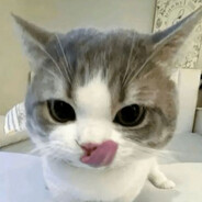Zonk999