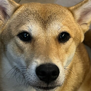 我哪一套都不吃