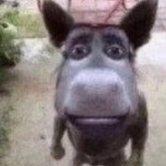 русясипикомпани